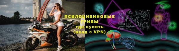 тгк Алексин