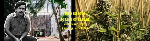 молекула духа Алзамай