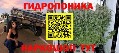 метадон Брянск