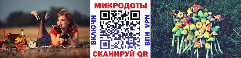 Галлюциногенные грибы прущие грибы  Богданович 