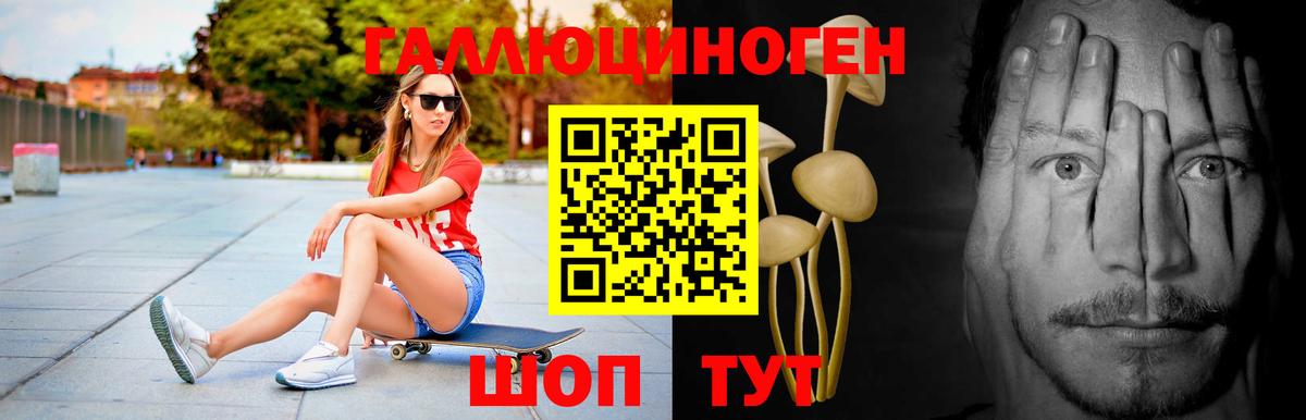 Богданович  Галлюциногенные грибы Psilocybe  Псилоцибиновые грибы Magic Shrooms  Вход с VPN 
